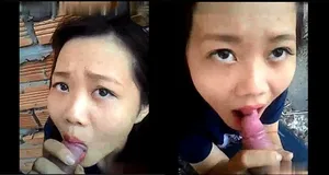 Bồ liếm chim ở vườn sau nhà
