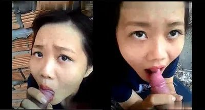 Bồ liếm chim ở vườn sau nhà